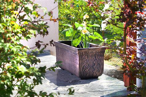 Тулипан макси - Престиж