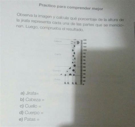 Me Pueden Ayudar A Calcular Cuanto Mide La Jirafa Pls Brainly Lat