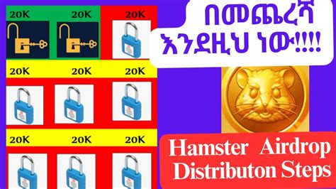 በመጨረሻ Hamster kombat እንደዚህ ነው Hamster kombat Distribution steps