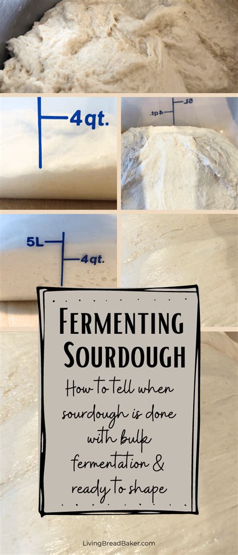 How To Tell When Sourdough Is Done With Bulk Fermentation Living