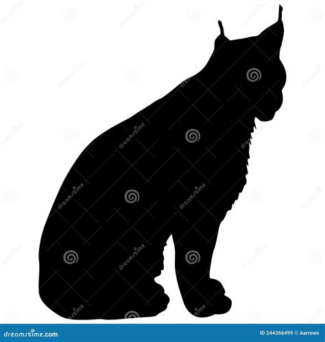 Silueta Del Lince Sobre Un Fondo Blanco Ilustraci N Del Vector