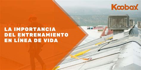 La Importancia Del Entrenamiento En Línea De Vida