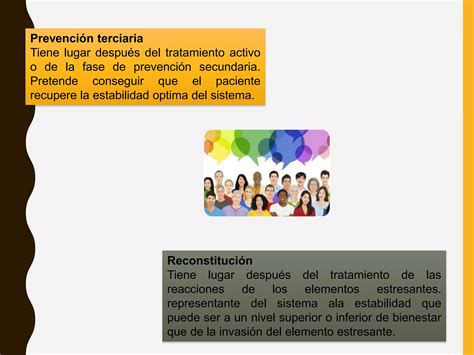 Teoria De Los Sistema Betty Newman Ppt