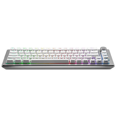 Buy Cooler Master MasterKeys CK721 Wireless White RGB Keyboard Brown ...