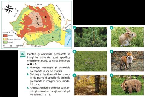 3 Plplantele și Animalele Prezentate în Imaginile Alăturate Sunt