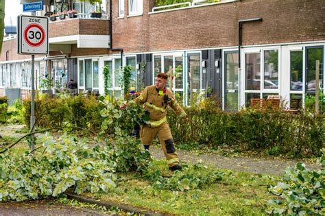 Omgewaaide Bomen En Gevaarlijke Takken Na Storm Poly