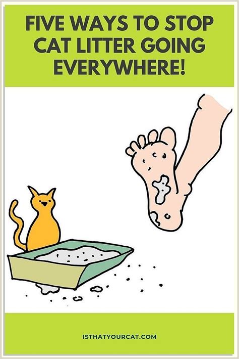 How To Toilet Train Your Cat An Illustrated Guide Artofit