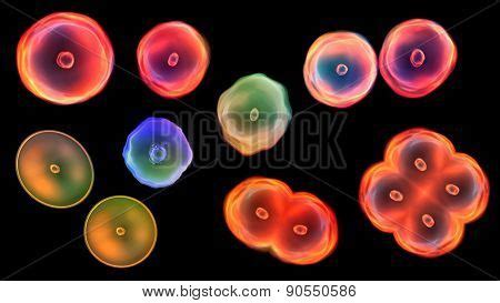 color cells type image photo  trial bigstock