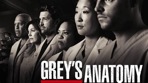 Greys Anatomy Season 6 Streaming Watch And Stream Online Via Netflix