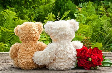 Cuddling Teddy Bear Holding Flowers