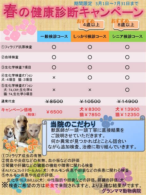 グランママ動物病院・春の健康診断キャンペーン！！｜羽曳野市の犬猫小動物クリニック