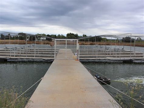 Fish Farming Takes Off In Murrumbidgee As Restaurants Get A Taste For