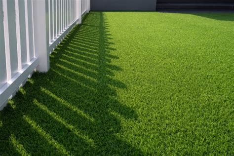 Paarse Bloeiende Planten X Mooie Paarse Bloemen Tijd Voor Je Tuin