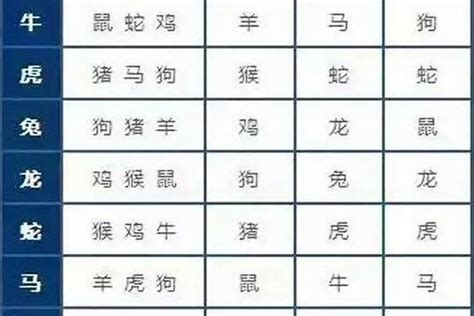 婚姻配对最佳生肖生肖配对什么好 运势 若朴堂文化