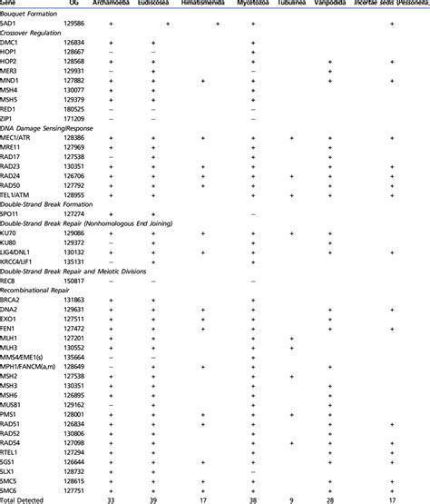 Phylogenetic Distribution Of Sex Genes In Major Subclades Of