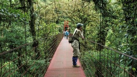 La Innovadora Solución De Costa Rica A Los Viajes Largos En Autos Eléctricos Pionera En América