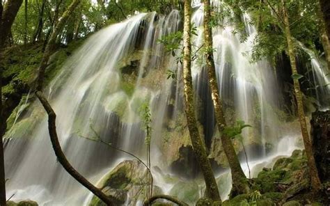 Cascadas De La Reserva De La Bi Sfera El Cielo En Tamaulipas Recuperan