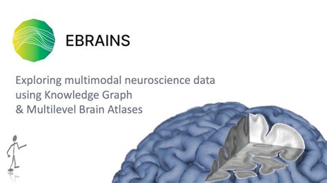 Exploring Multimodal Neuroscience Data Using The Ebrains Knowledge