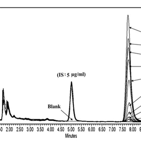 Overlay Of Chromatograms Of Extracts Of 05 Ml Human Plasma Blank B