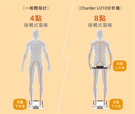 嘖嘖 【charder 你的專業教練｜u310 人體分析儀】app數據紀錄 ×