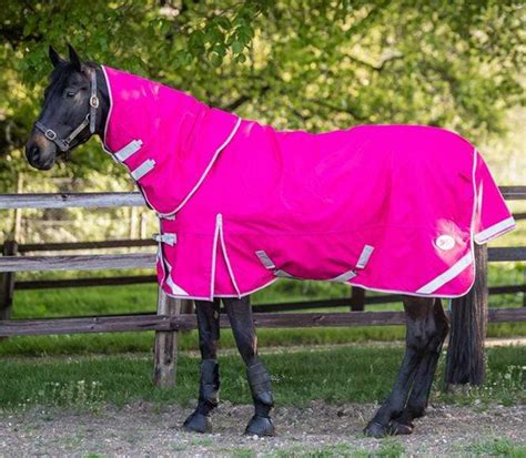 Patterned Horse Rugs To Feast Your Eyes On Horse And Hound