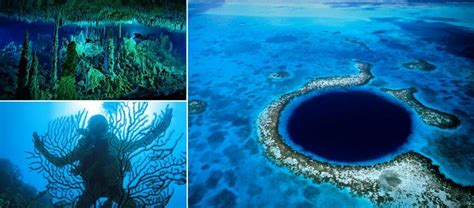 Great Blue Hole, Belize depth 125 m, diameter 33 m foto jebiga.com