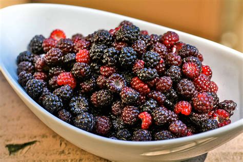 Black Cap Raspberry Shrub Recipe