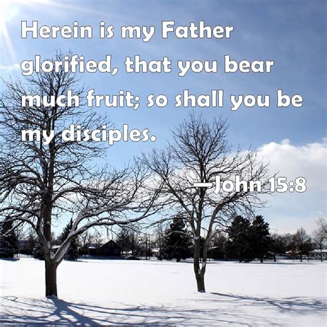 John 158 Herein Is My Father Glorified That You Bear Much Fruit So