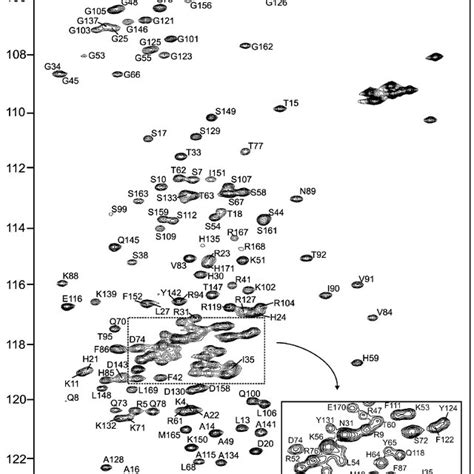 The H N Hsqc Spectrum Of Uniformly C N Labelled Rmmbp