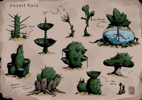 Artstation Cacti Designs Paveway Design Studio Desert Plants