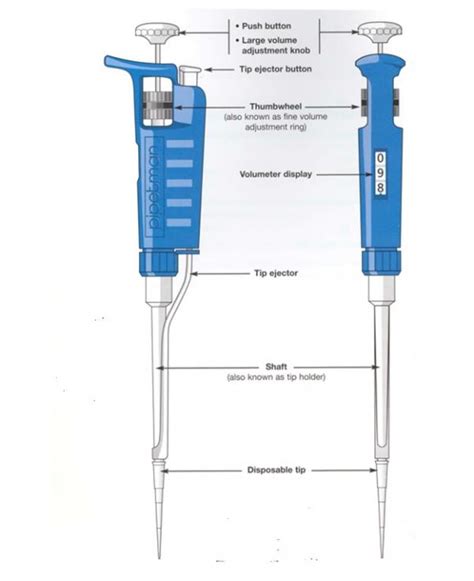 Equipment for Biology | Texas Gateway