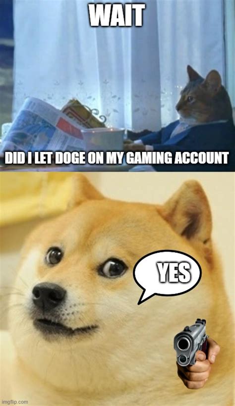 Image Tagged In Memesi Should Buy A Boat Catdoge Imgflip