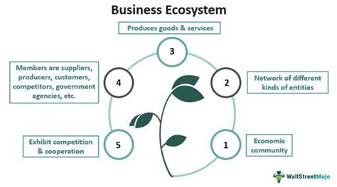 Business Ecosystem Definition Examples Model Types