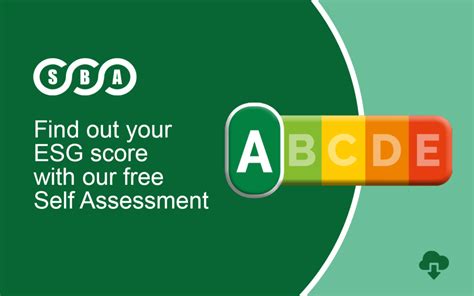 Esg Self Assessment Sustainable Business Alliance