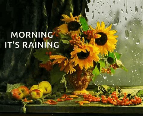 Good Morning Its Raining  Good Morning Its Raining Rain