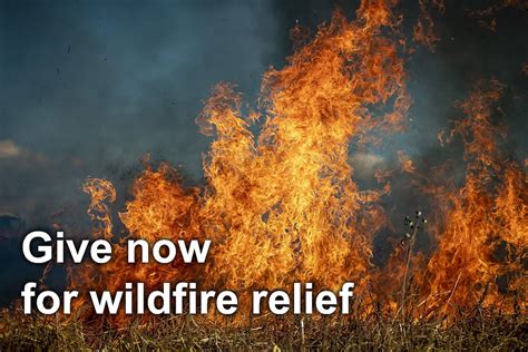 Wildfire Relief