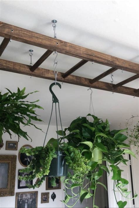 Hanging plants in bathroom ideas