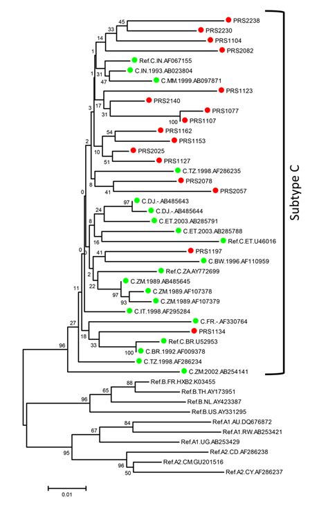 Phylogenetic Analysis For Characterisation Of HIV 1 Subtypes The