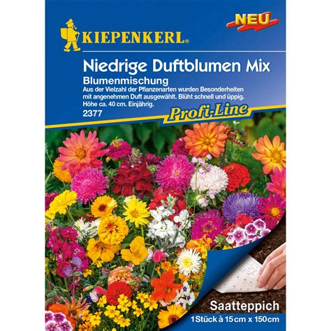 Kiepenkerl Blumenmischung Niedrige Duftblumen Mix Saatteppich Kaufen