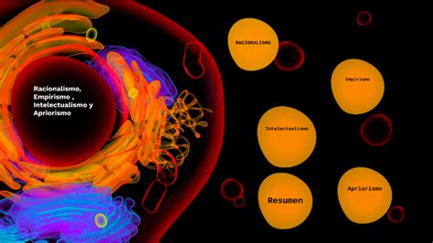 Racionalismo Empirismo Intelectualismo Y Apriorismo By Laura Maturano On Prezi