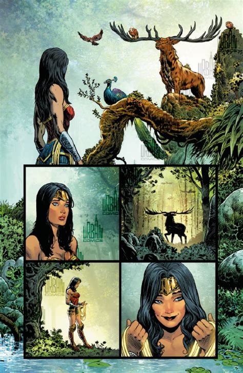 Wonder Woman Rebirth T4 Par Greg Rucka Liam Sharp And Nicola