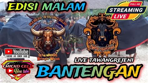 🔴live Bantengan Maheso Lawung Rejosuro Rojokoyolive Tawang Rejeni Kec