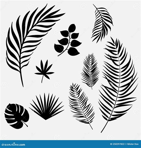 Collection Of Tropical Leaf Silhouette Vector Illustration Stock Vector