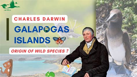 Galapagos Island Charles Darwin S Inspiration Unveiling Wildlife