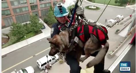 Roosevelt Islander Online Nypd Emergency Service Unit Rescue Drill On