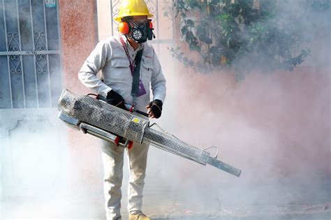 En Veracruz Ya Son 4 Mil 625 Casos De Dengue Y 4 Defunciones La