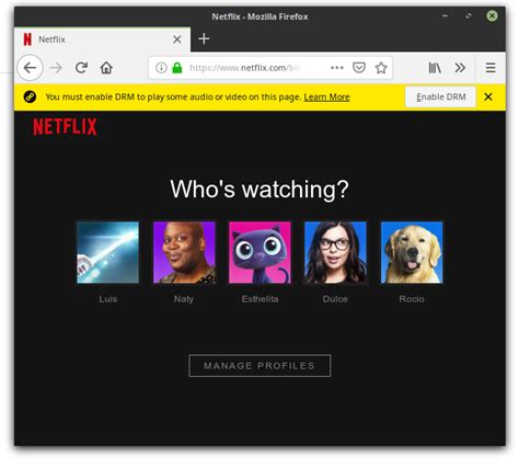 Ahora Puedes Usar Netflix En Ubuntu