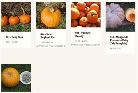 Best 50 online stores for pumpkin and squash seeds