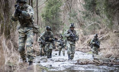 The Austrian Armed Forces