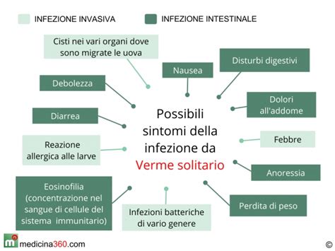 Verme Solitario Sintomi E Cure Della Tenia Intestinale Nell Uomo